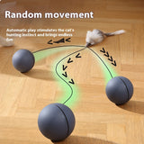 Electric Mouse Teaser Ball Moving Toy