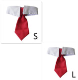 Pet Bow Tie Cartoon Print