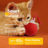 Interactive Toy Ball Super Drive Cat/Dog Rolling Ball
