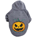 Polyester Halloween Pumpkin Pattern Sweater