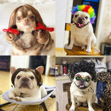Pet Headdress Wig Sheath