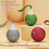 Interactive Toy Ball Super Drive Cat/Dog Rolling Ball