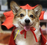 Pet Halloween Costume Cape Vampire King