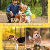 Pet Bandana With Tassels Edges Classic Plaid Triangle Scarf