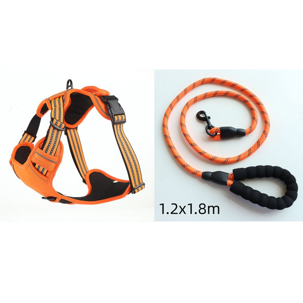 orange-set