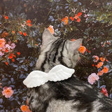 Pet Specific White Collar Angel Wing Neck Rings Butterfly Tie Decoration