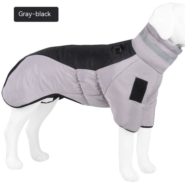 gray-black