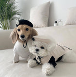 Pet Knitted Hat