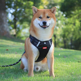 Pet Harness No Pull Breathable Reflective Vest Outdoor Running And Training