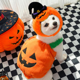 Pet Halloween Pumpkin Vest Festive Harness Thanksgiving Christmas Apparel