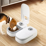 Automatic Smart Food Dispenser Timer Stainless Steel Bowl